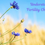 Understanding Fertility Challenges