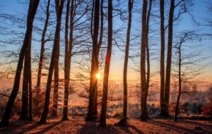 PCOS and the Emotional Impact