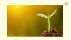 Men and fertility struggles, counselling