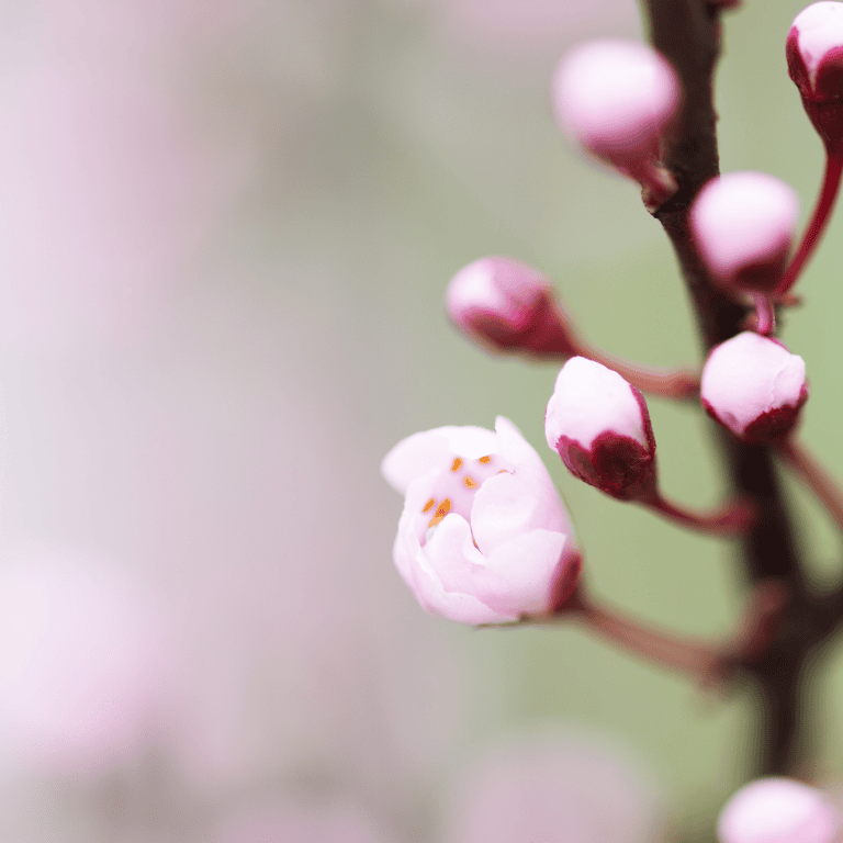 Anxiety and Fertility Counselling in Horsham, West Sussex.
