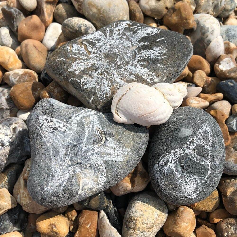 Pebbles-fees-and-practicalities-page
