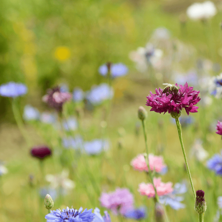 Relationships and fertility counselling in Horsham, West Sussex.
